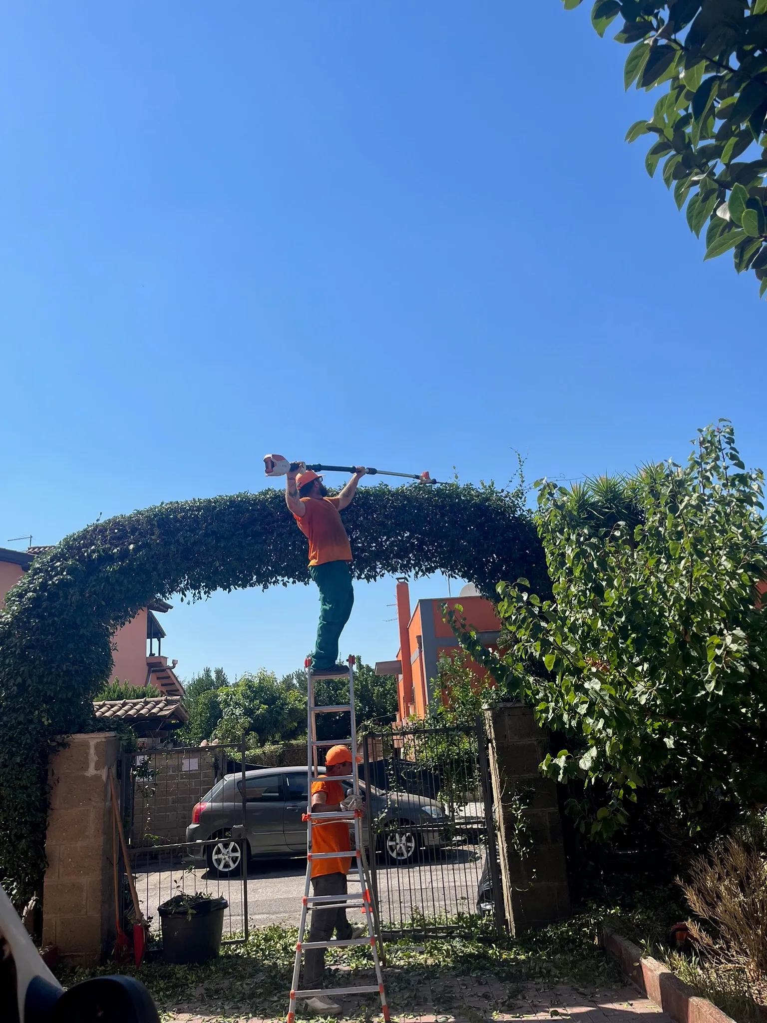 Due operai sagomano un arco di edera sopra il cancello d’ingresso
