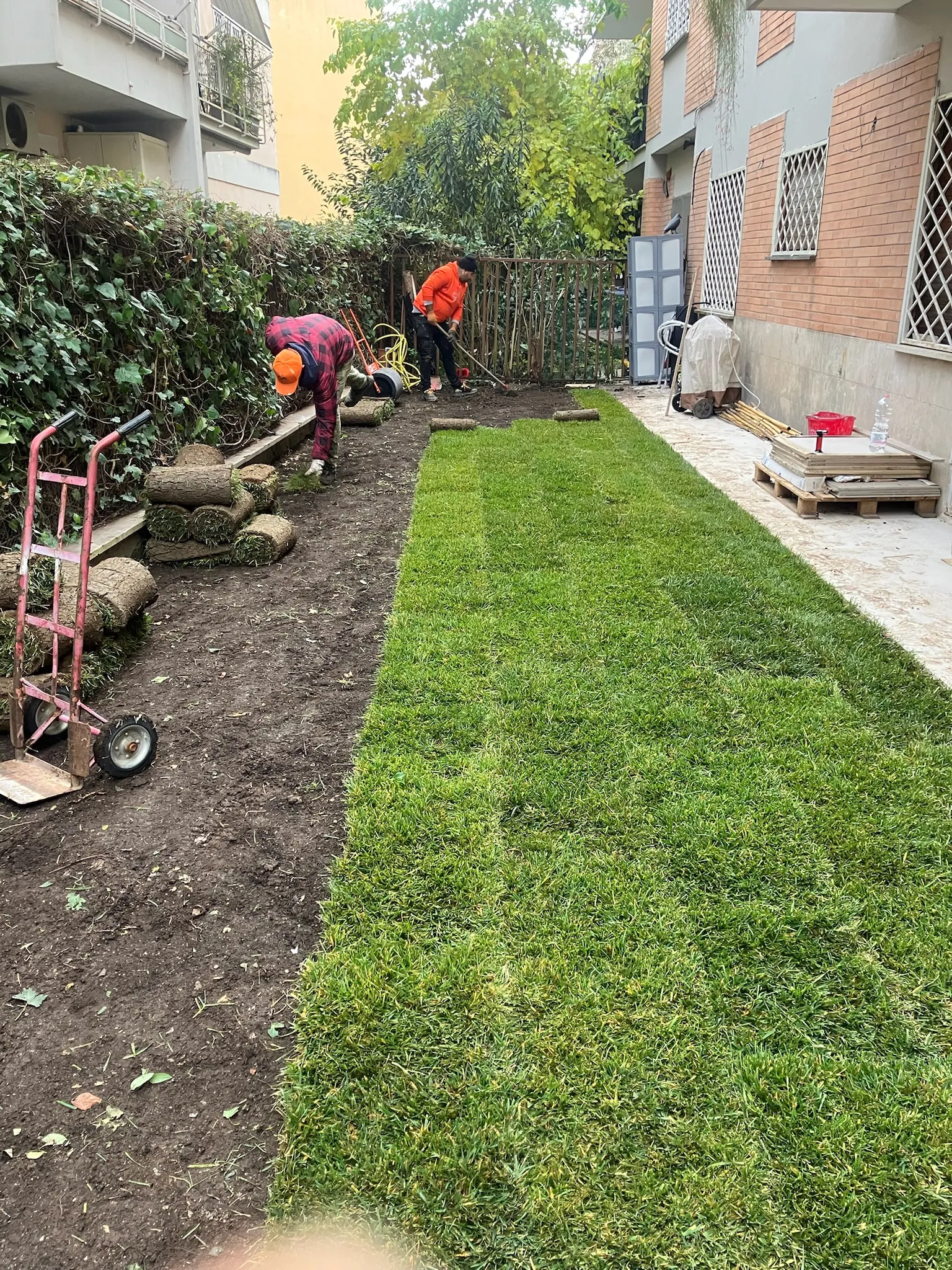 Operai posano i rotoli di prato lungo la siepe sul terreno livellato