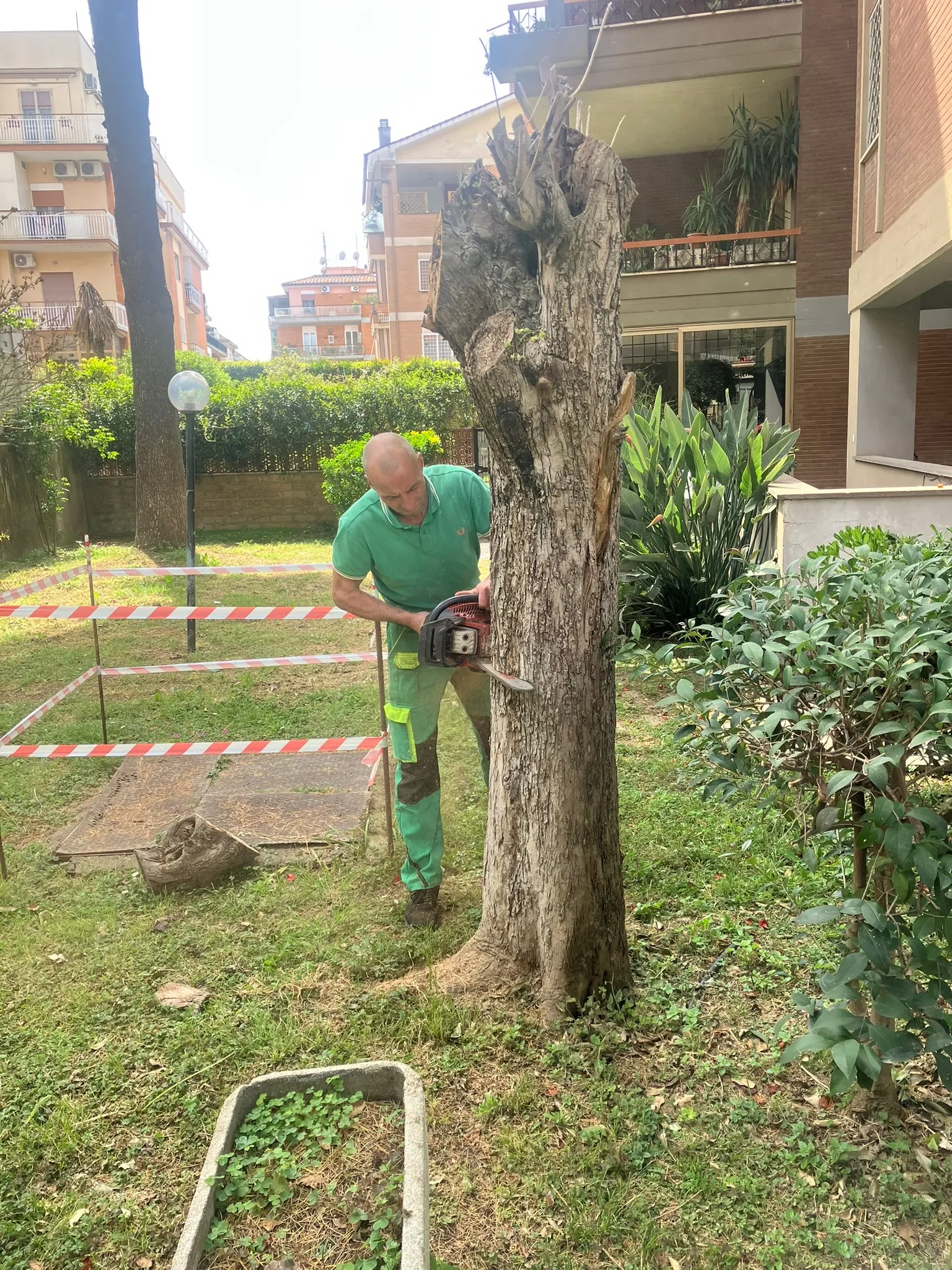 Operaio Multiservizi Cavallo taglia con la motosega il tronco di un albero in un’area delimitata