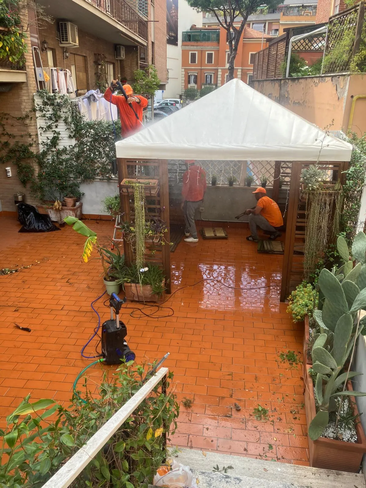 Pulizia terrazza, gazebo e sistemazione siepe, Quartiere Aurelio