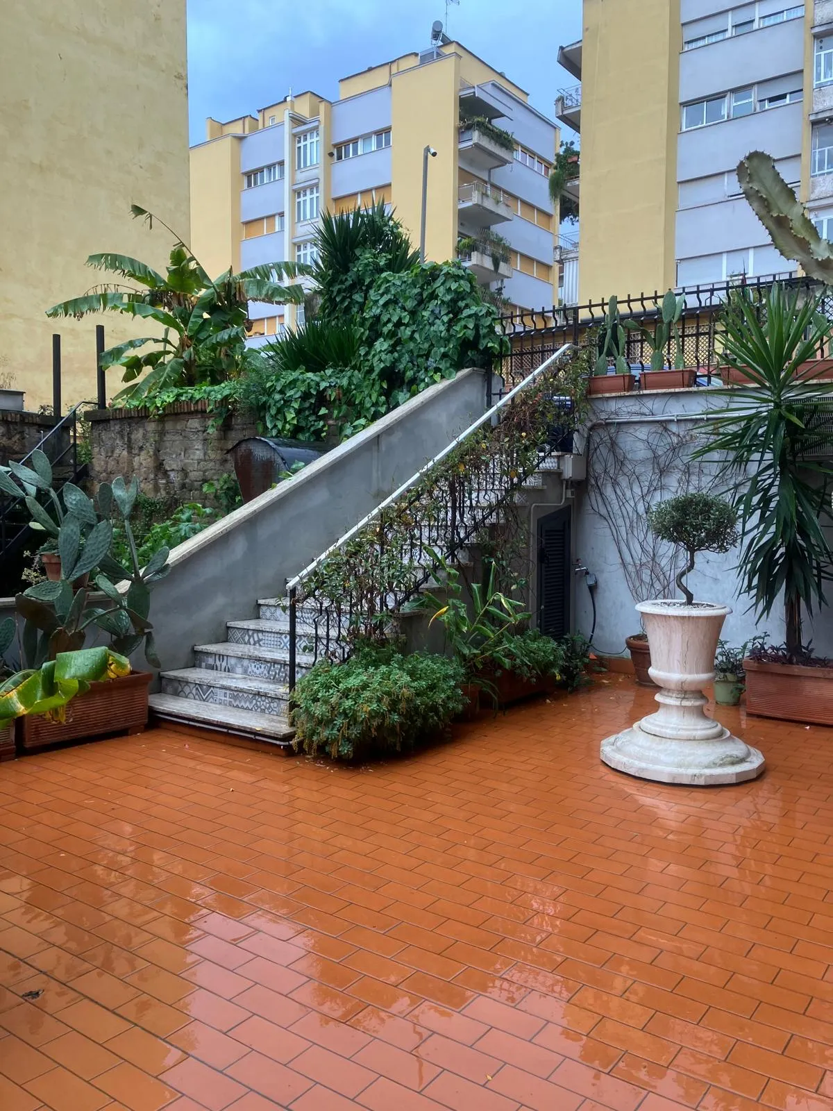 Pulizia terrazza, gazebo e sistemazione siepe, Quartiere Aurelio — foto 3