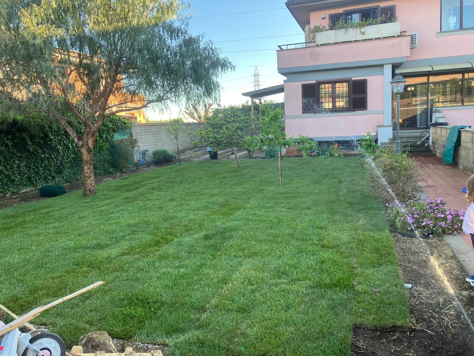 Riqualifica giardino con impianto irrigazione e prato a rotoli, Cerveteri