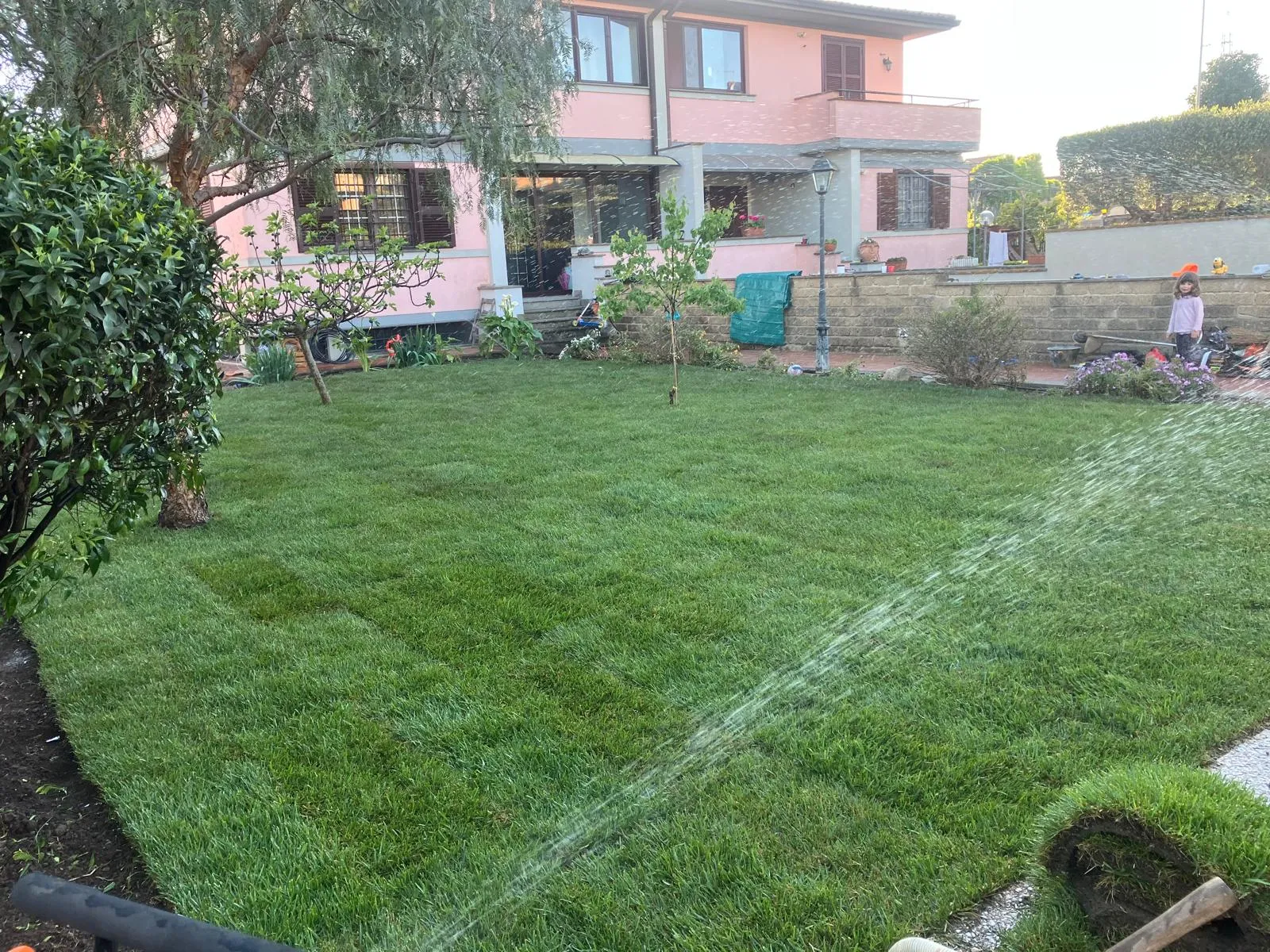 Riqualifica giardino con impianto irrigazione e prato a rotoli, Cerveteri — foto 2