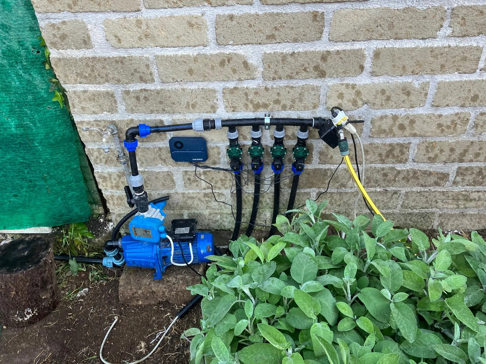 Riqualifica giardino con impianto irrigazione e prato a rotoli, Cerveteri — foto 4