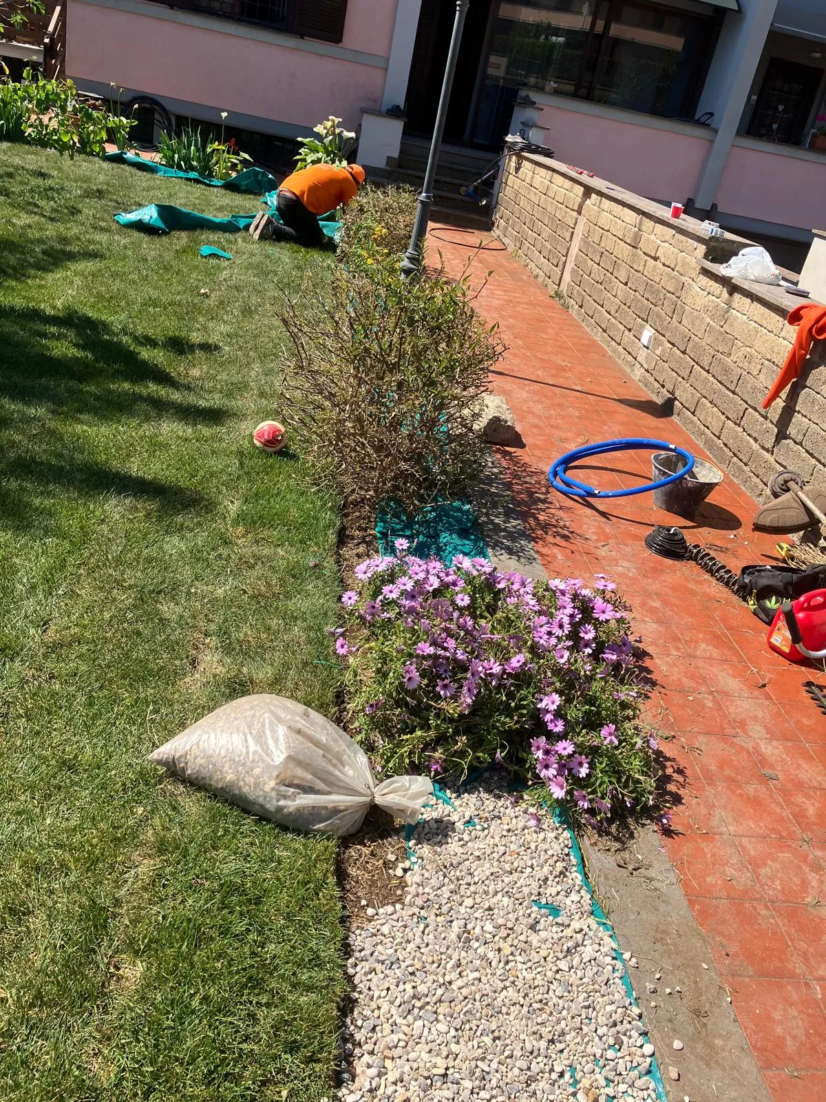 Riqualifica giardino con impianto irrigazione e prato a rotoli, Cerveteri — foto 6