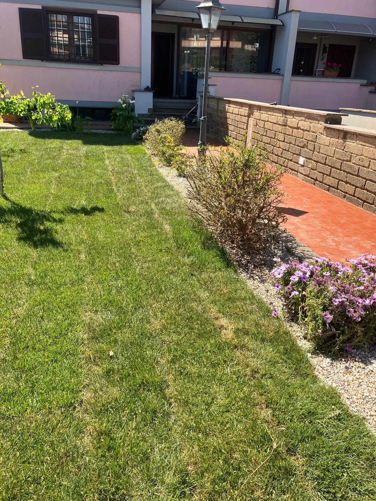 Riqualifica giardino con impianto irrigazione e prato a rotoli, Cerveteri — foto 7