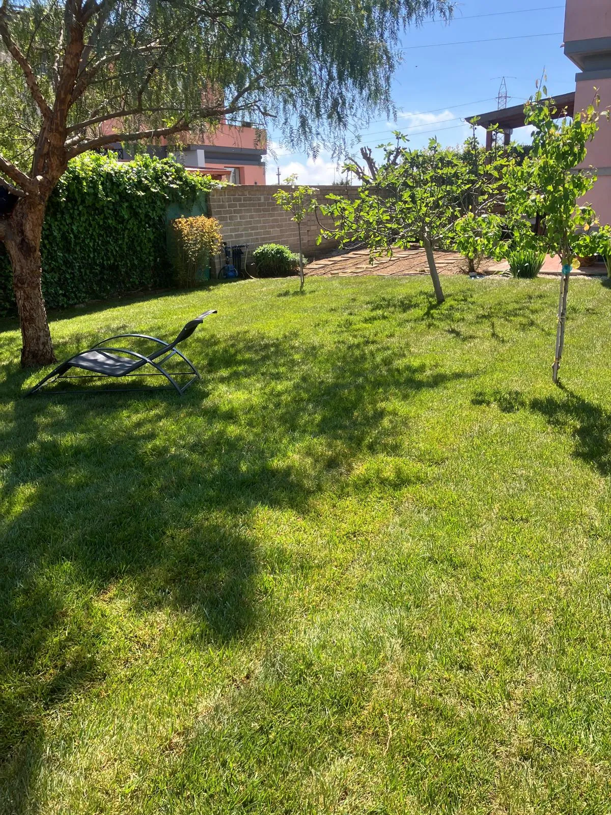 Riqualifica giardino con impianto irrigazione e prato a rotoli, Cerveteri — foto 8