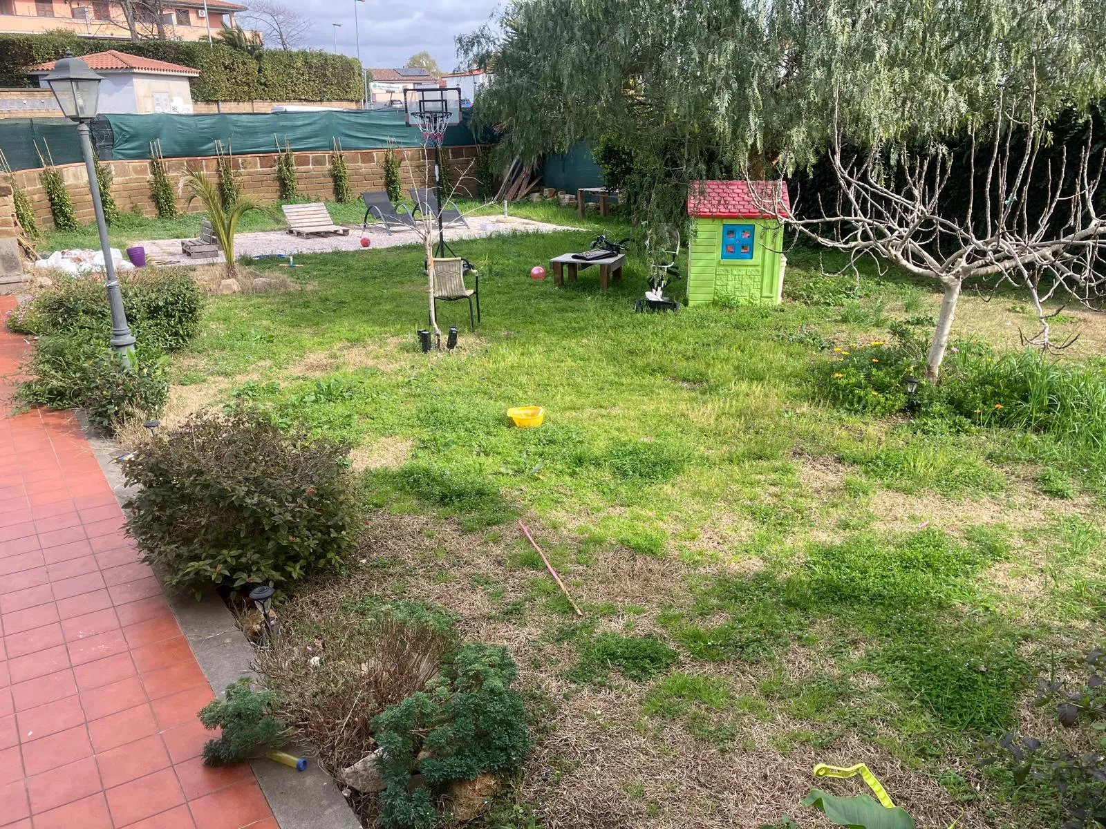 Riqualifica giardino con impianto irrigazione e prato a rotoli, Cerveteri — foto 9