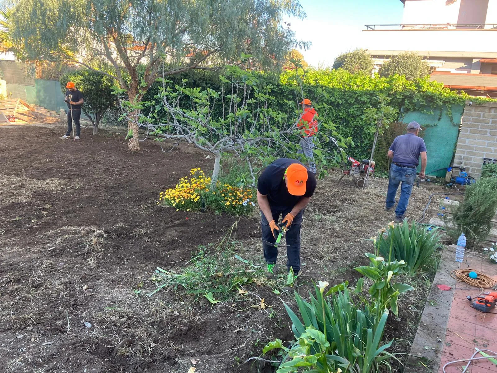 Riqualifica giardino con impianto irrigazione e prato a rotoli, Cerveteri — foto 11