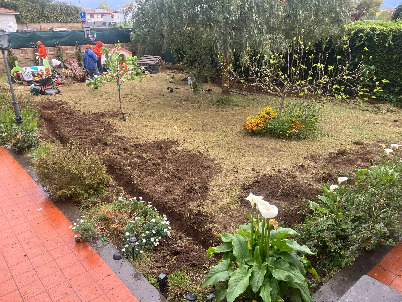 Riqualifica giardino con impianto irrigazione e prato a rotoli, Cerveteri — foto 13