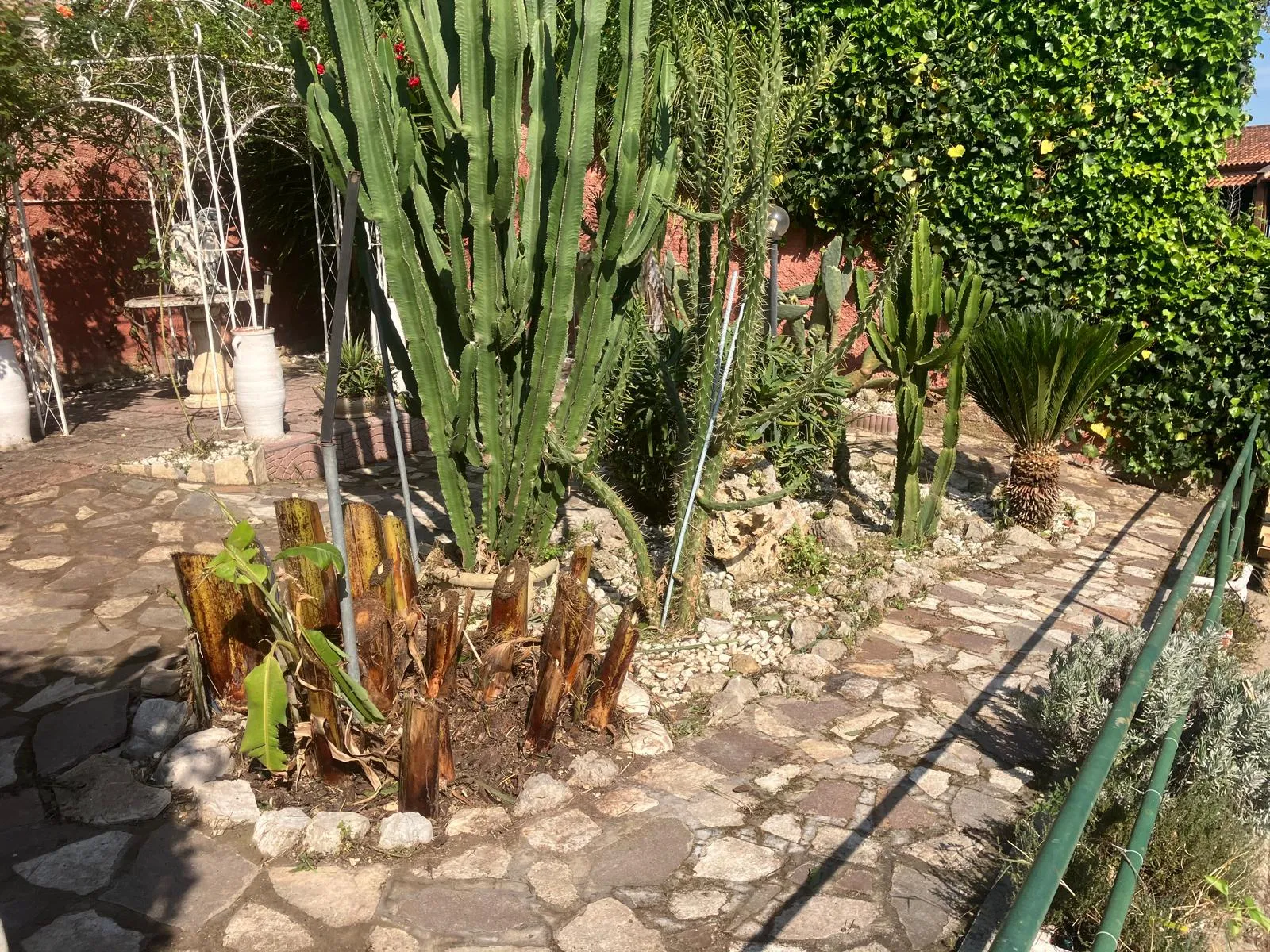 Pulizia e riqualifica giardino con gazebo e arredi, Roma — foto 5