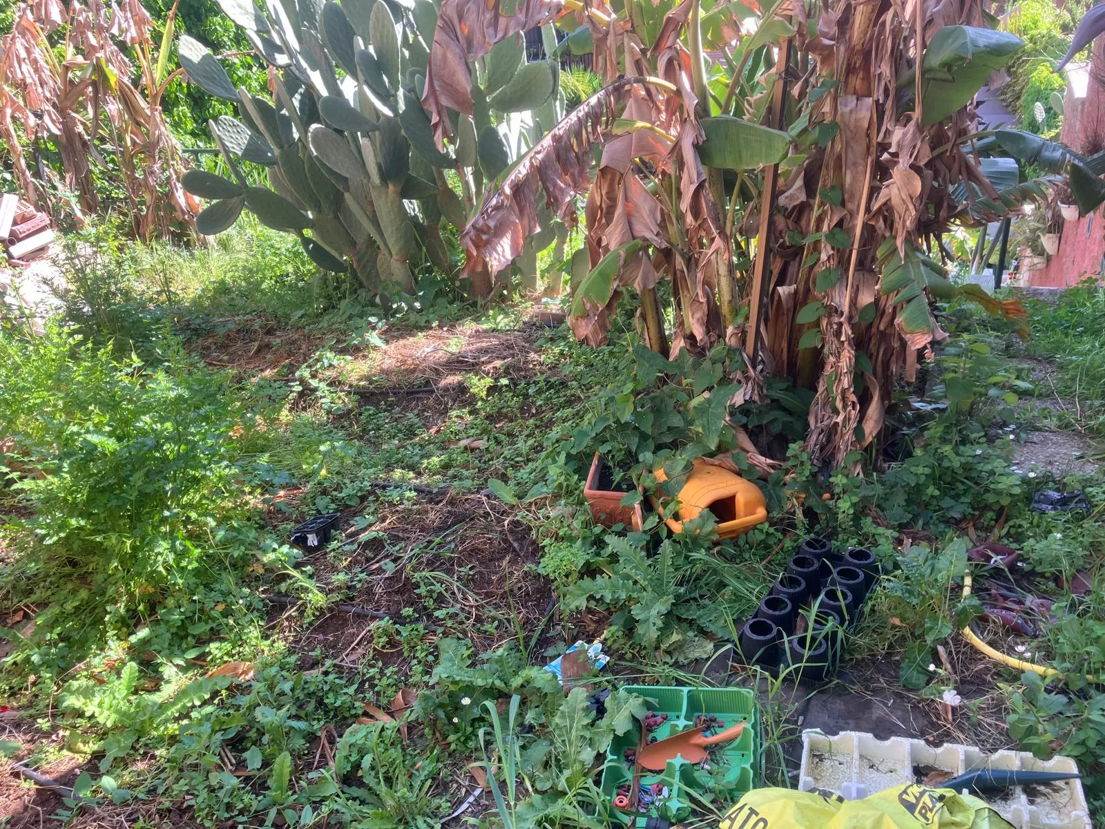 Pulizia e riqualifica giardino con gazebo e arredi, Roma — foto 18