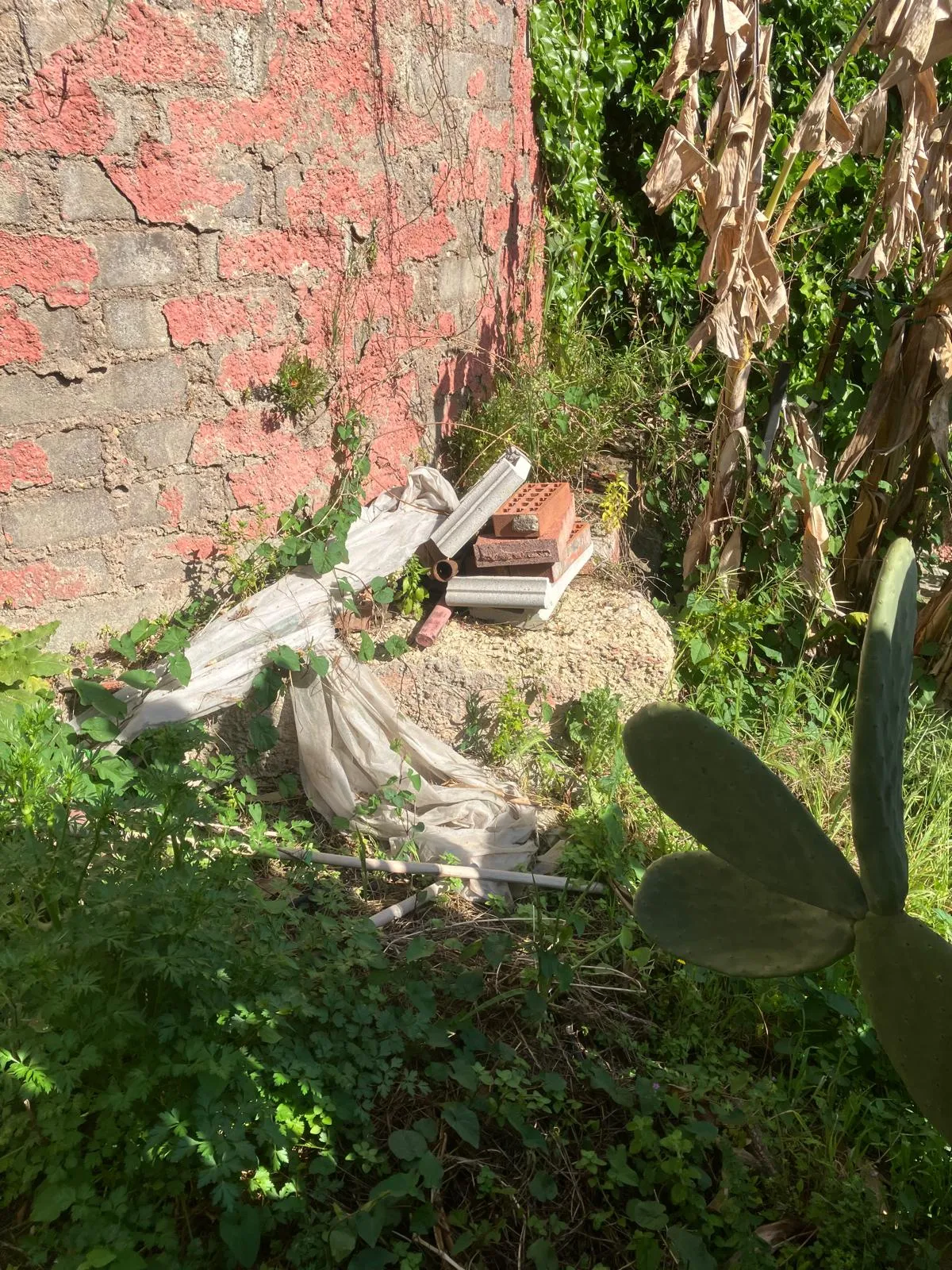 Pulizia e riqualifica giardino con gazebo e arredi, Roma — foto 20