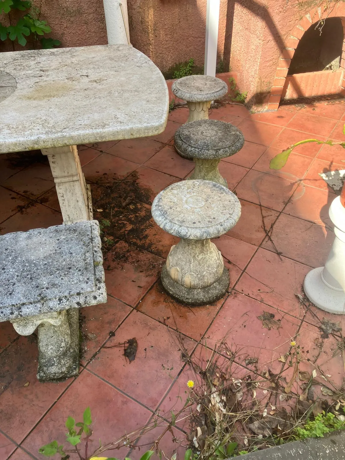 Pulizia e riqualifica giardino con gazebo e arredi, Roma — foto 10