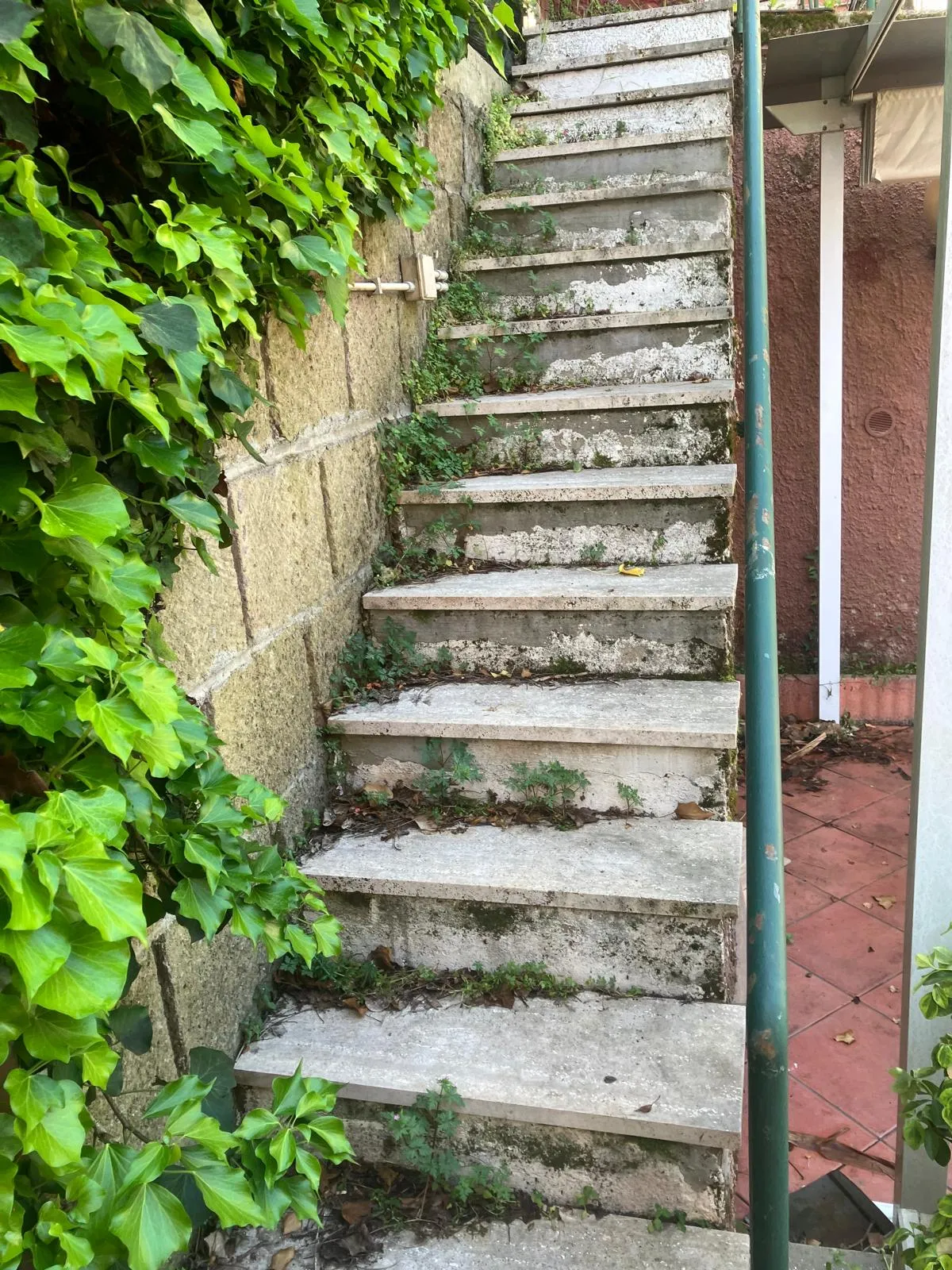 Pulizia e riqualifica giardino con gazebo e arredi, Roma — foto 13