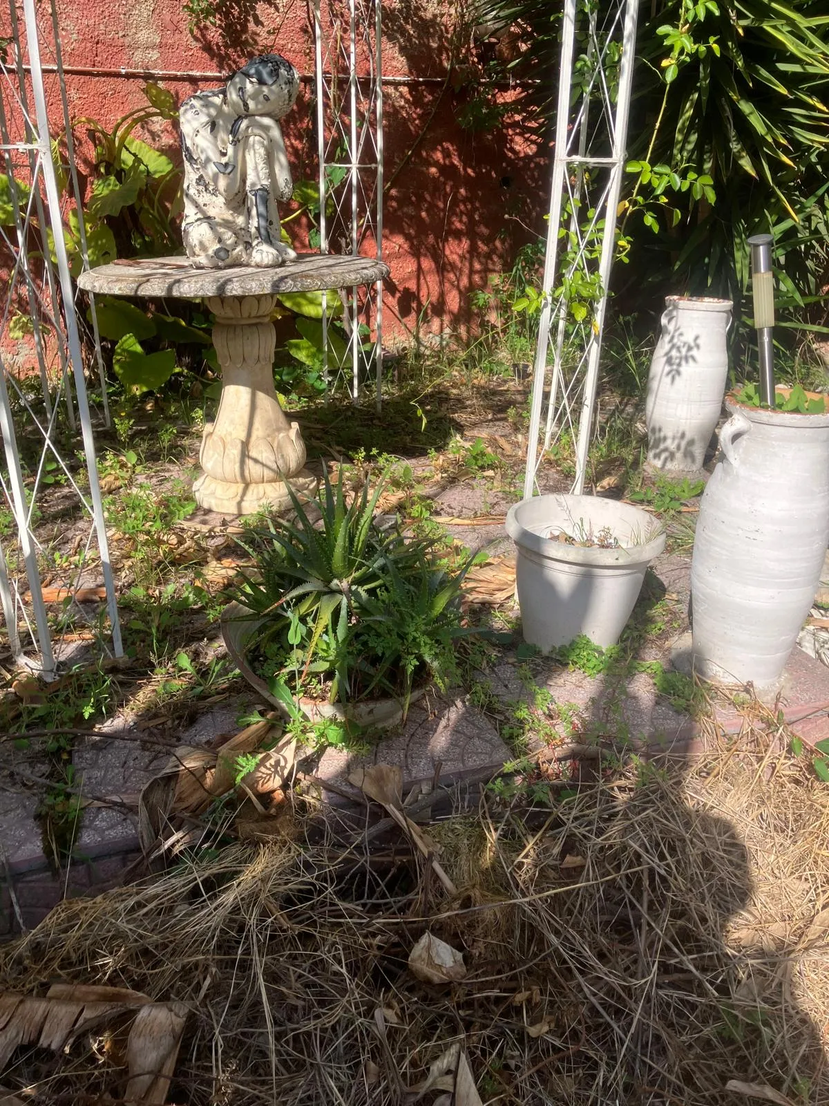 Pulizia e riqualifica giardino con gazebo e arredi, Roma — foto 16