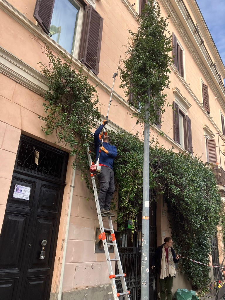 Manutenzione giardini e aree verdi