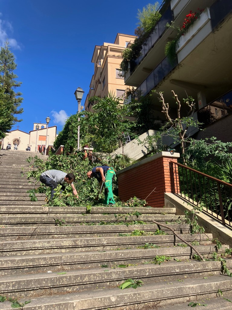 Pulizia condomini e spazi comuni
